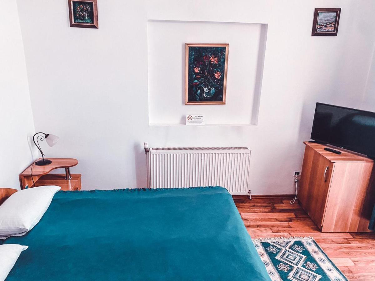 Vila Royal 호텔 Sighetu Marmaţiei 외부 사진